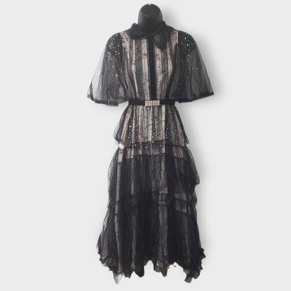Dark Romance Victorian Sheer Lace Floral Studded Tiered Midi Dress Whimsigoth Sm - Picture 1 of 16